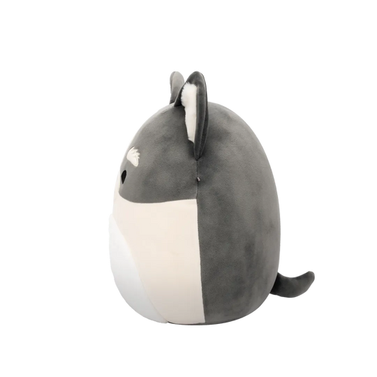 squishmallows-paolo-the-grey-and-white-pomsky-30-cm-09/094058a9e3f353e88e0c287ad2a2826cabe70ee2