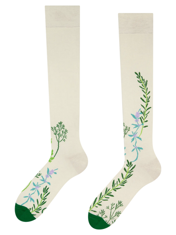 Vesele dokoljenke Ružmarin