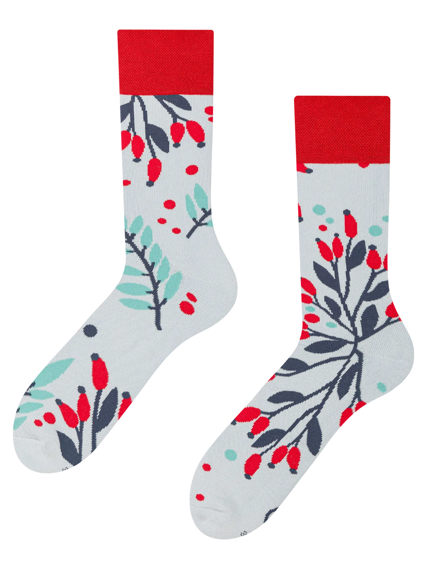 warm-socks-rosehips-in-snow-1-4d/4da5f8bd5631a196108bcc4428c709afa32d50b1