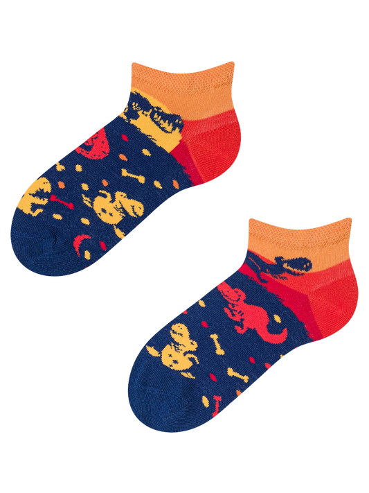 kids-ankle-socks-dinosaur-world-26/265e05a66ebe0a826d8ee2297e7b29b7ba39f198