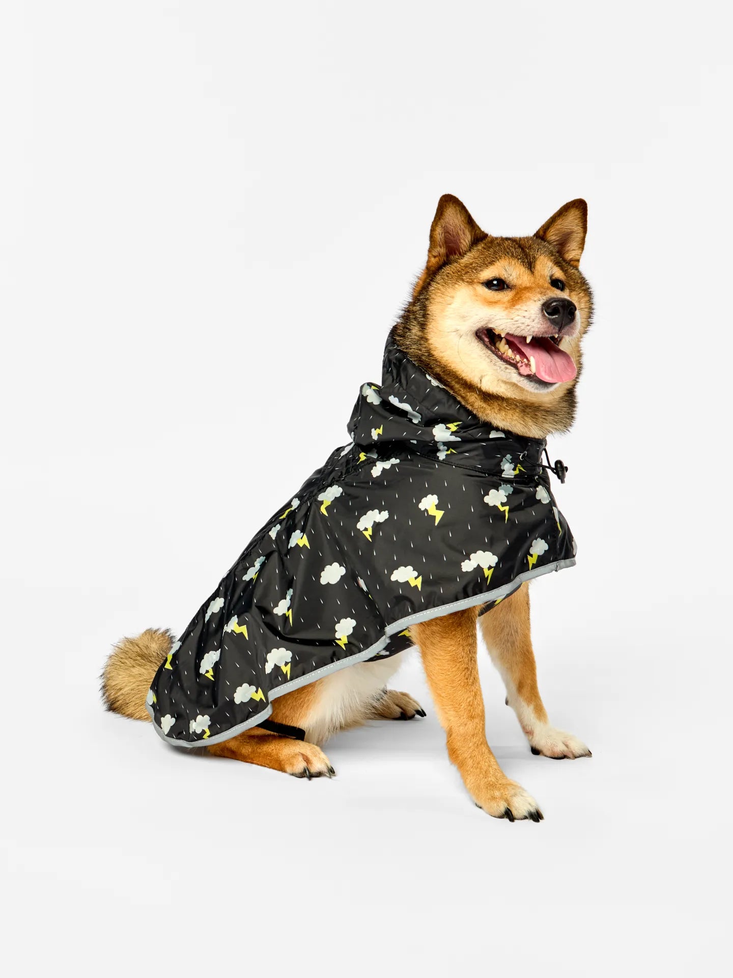 dog-raincoat-storm-13/1378cf4100602de17a48a0aa4f939616aa2fdad1