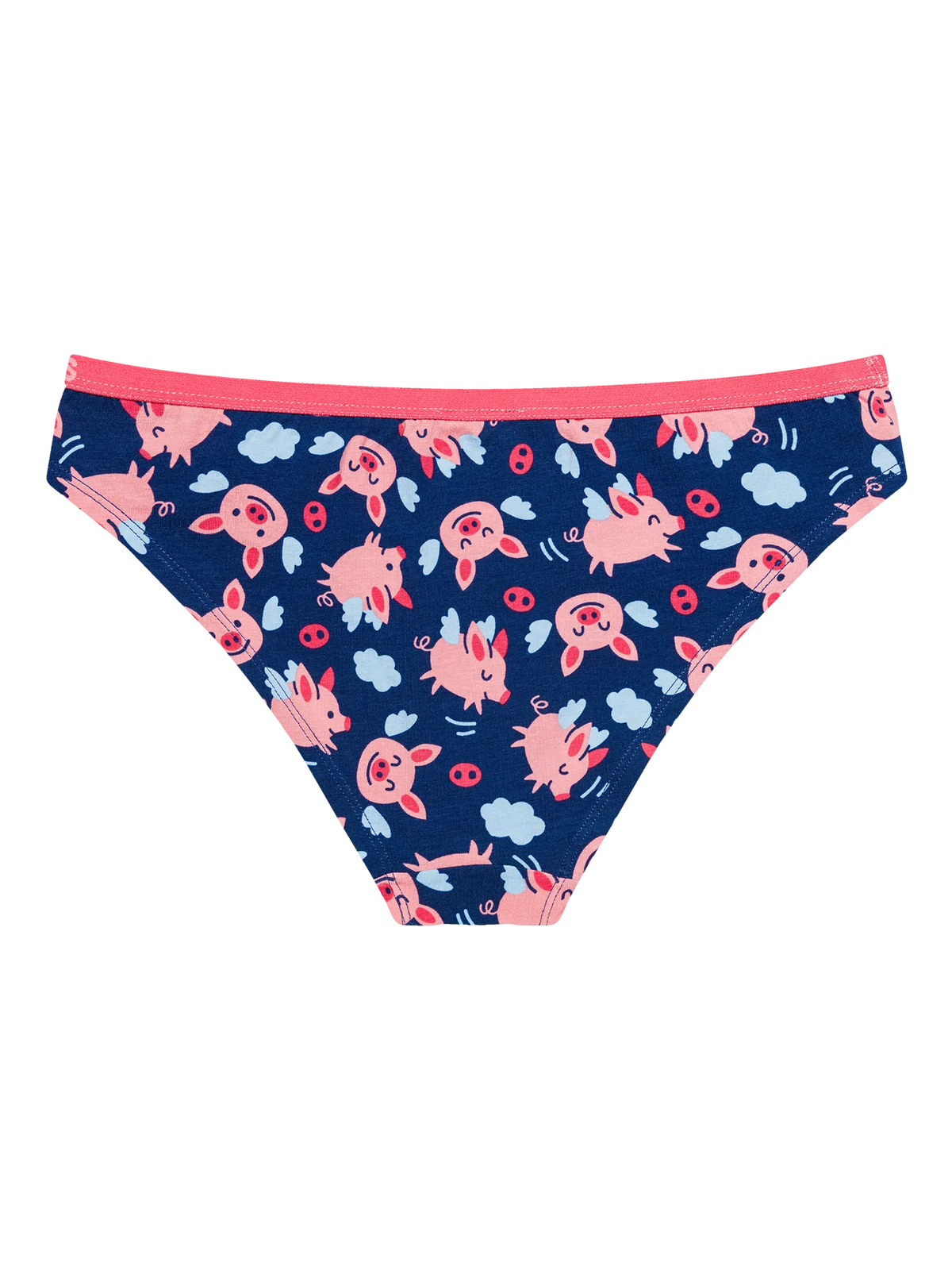 womens-briefs-flying-pigs-1-32/32da6e4c79c9363dd0a3ca0e4d4da407398f55db
