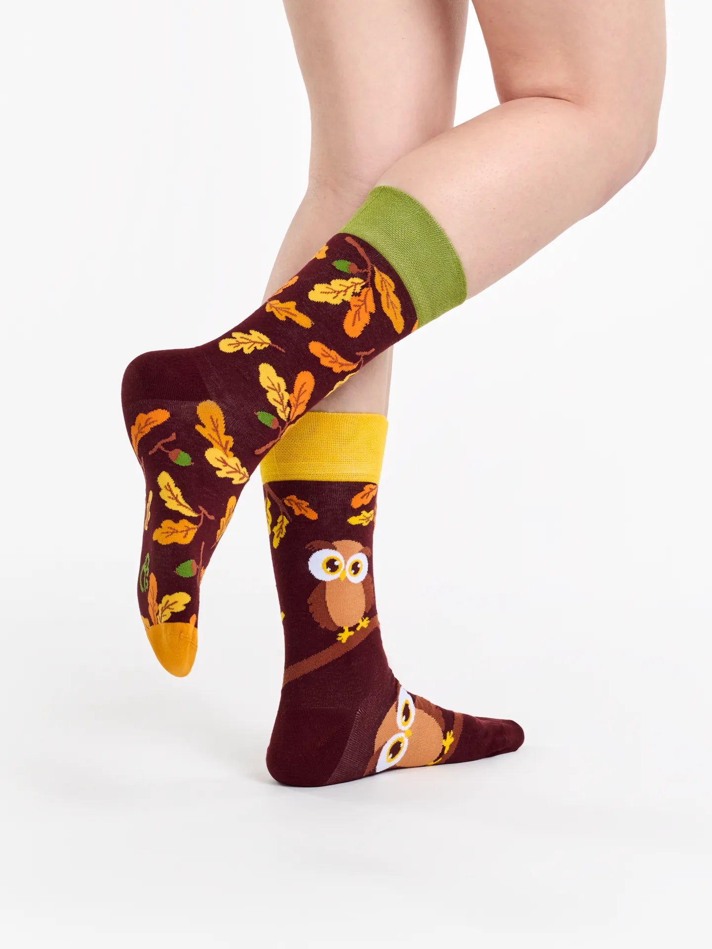 regular-socks-curious-owl-02-33/330437dae9ece4d8538e6f0bf89775c7183bcdcf