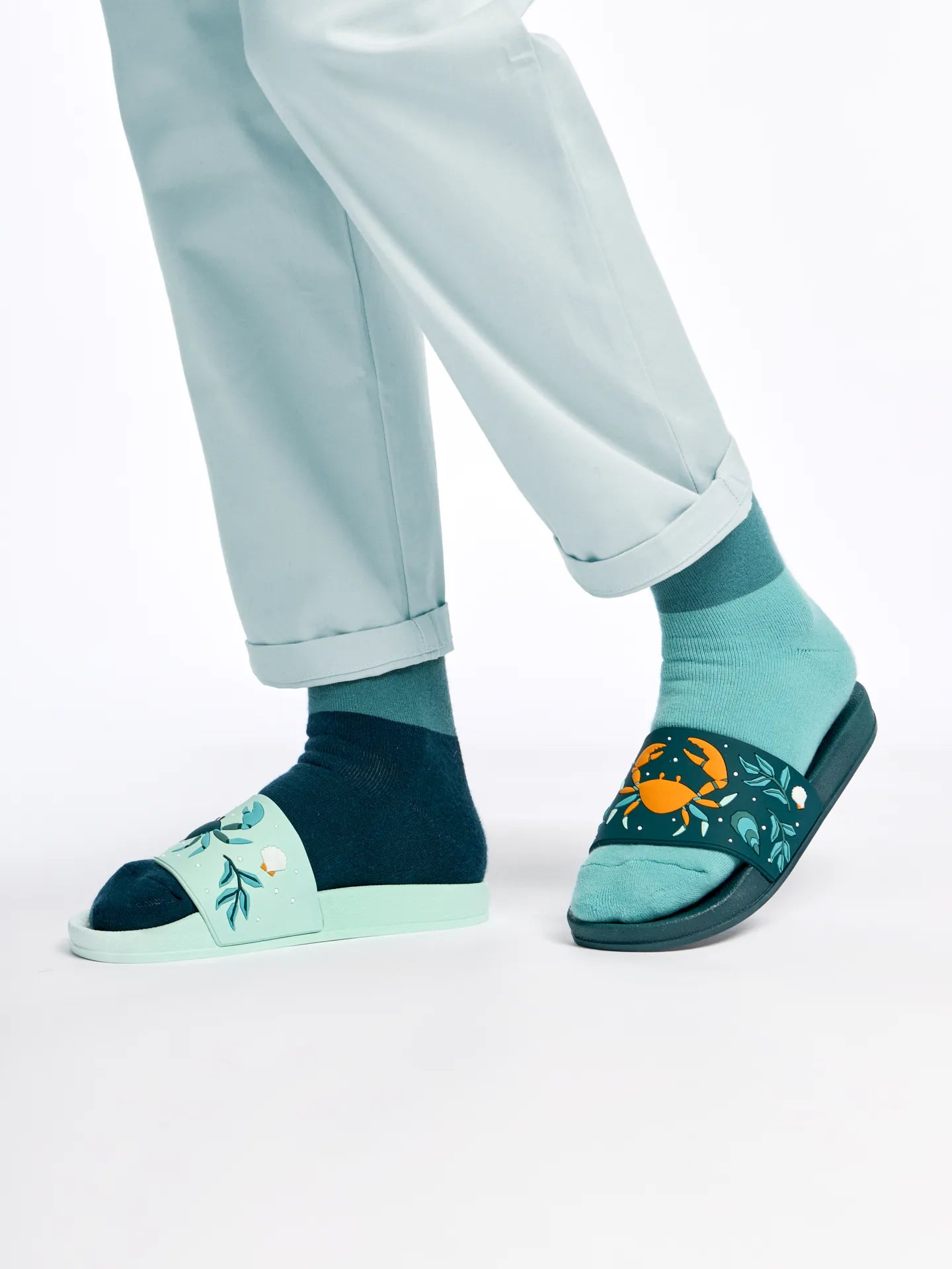 slides-sea-crab-1-6d/6da0e9291387c48e633f555c98a27d50483c28c3