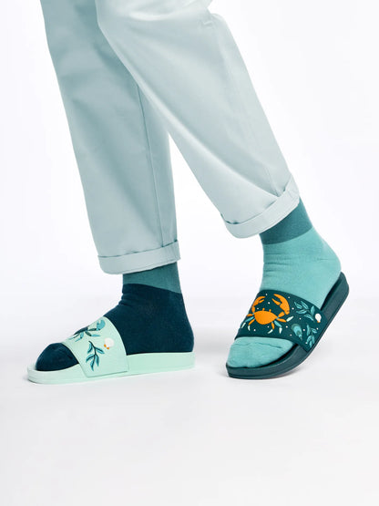 slides-sea-crab-1-6d/6da0e9291387c48e633f555c98a27d50483c28c3