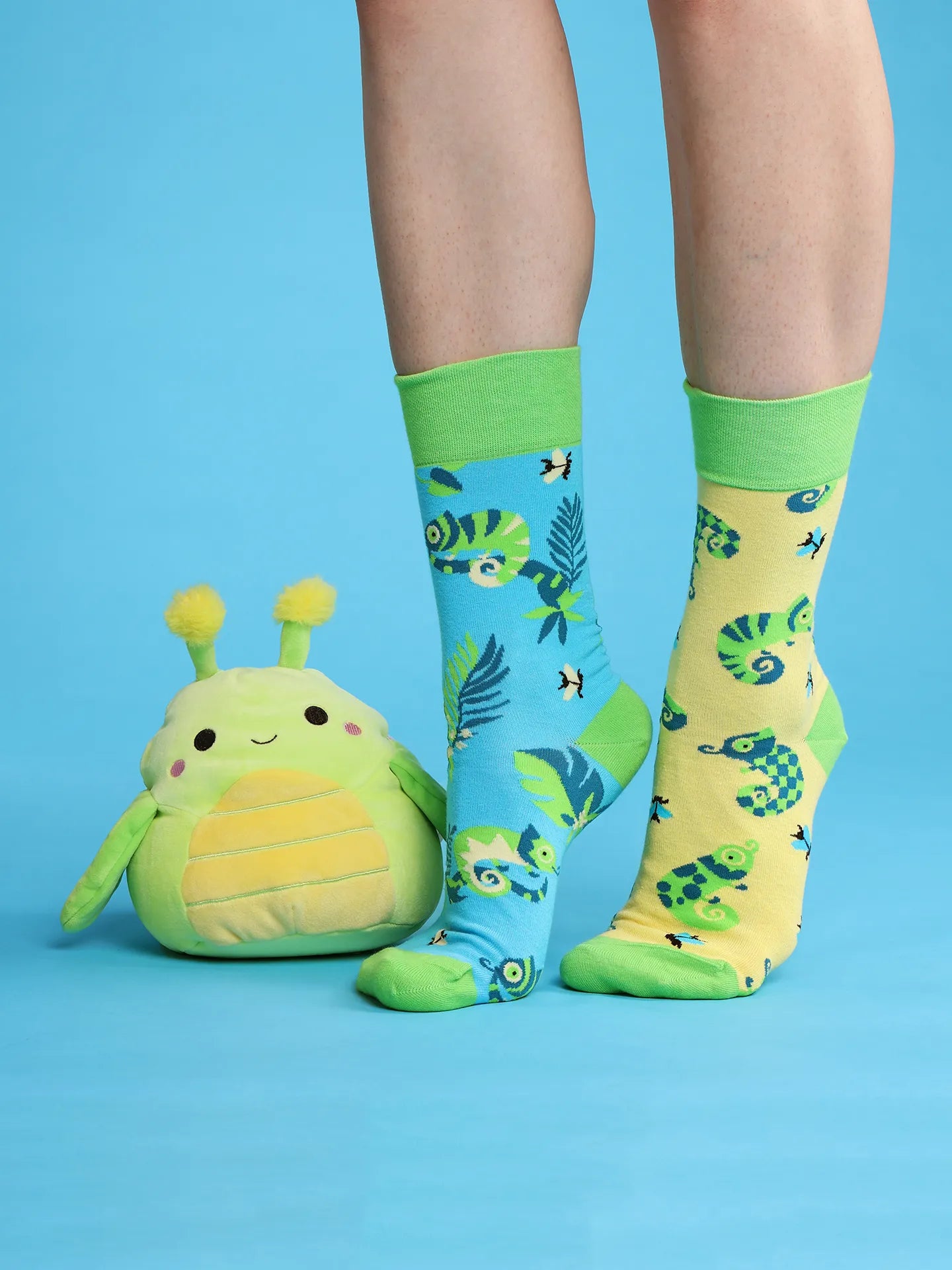 squishmallows-pilar-the-bug-20-cm-3e/3e11f6df65250f6a915013bef7e1f28514d57dae