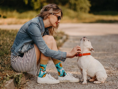 regular-socks-dog-friends-44/44b869a683e38a29dac16709610c50cff4129912