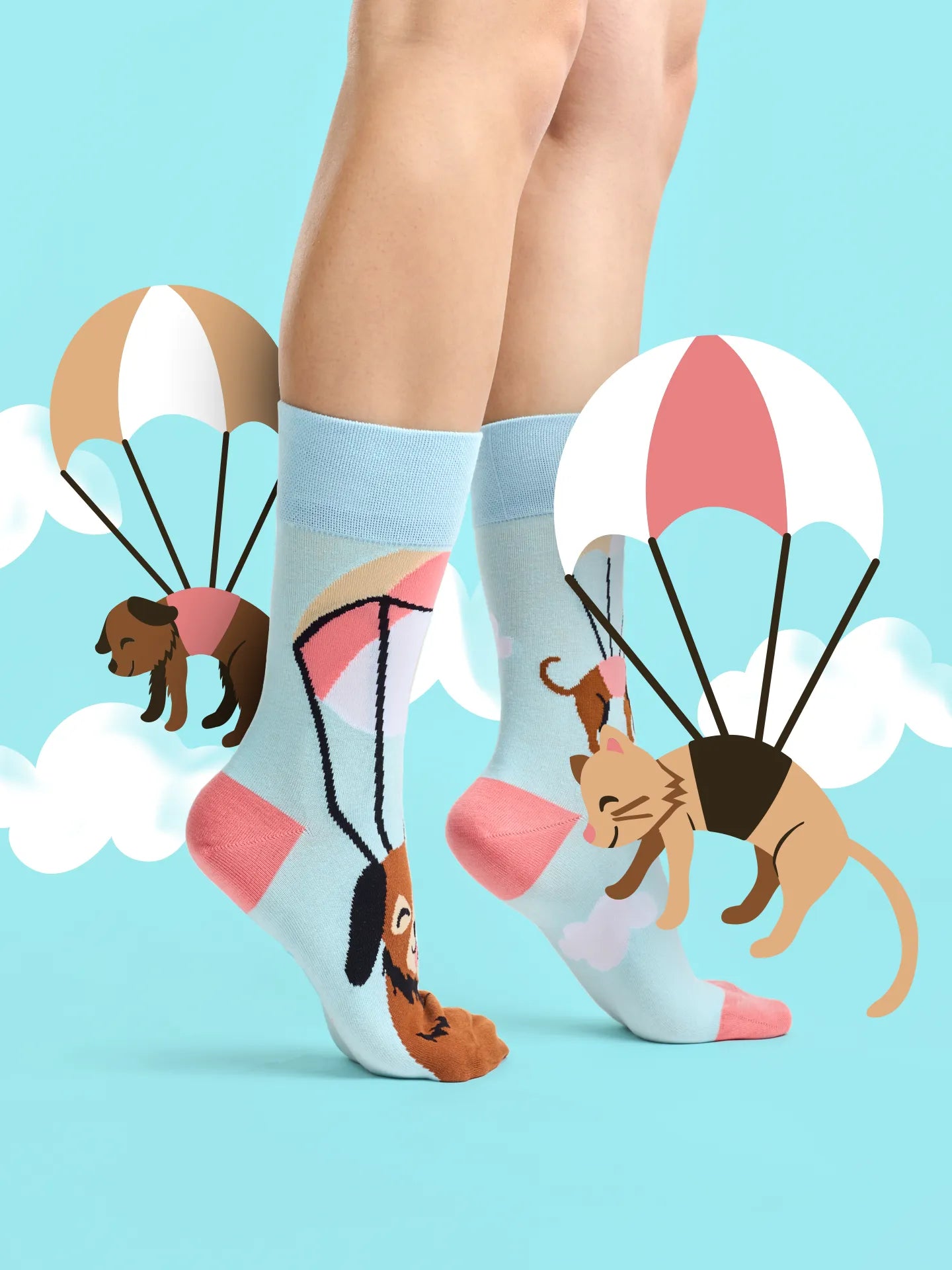 regular-socks-flying-cats-dogs-4e/4e2282c97759127eccac57987846ea849b4b435a