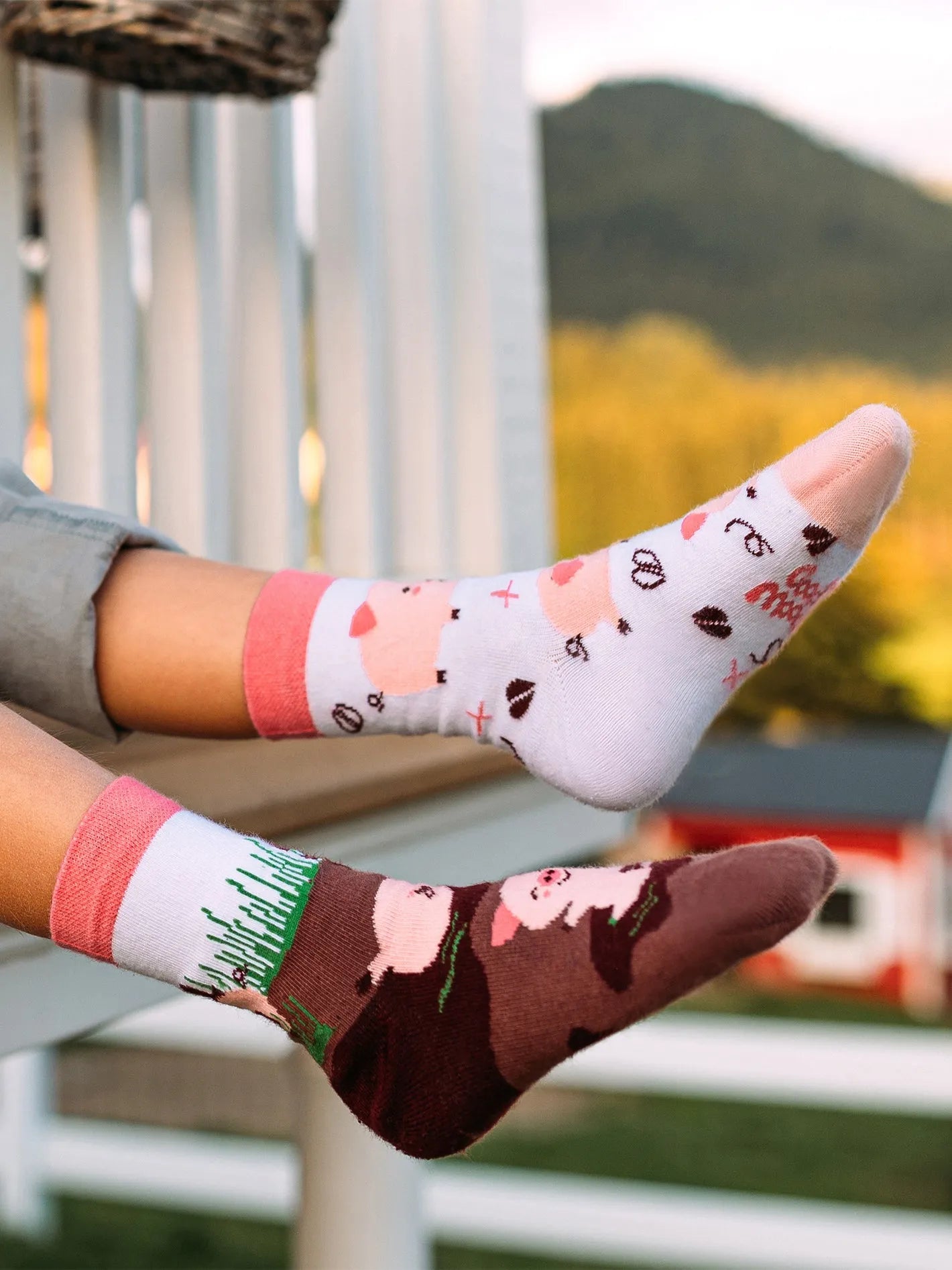 kids-socks-happy-pigs-52/5291c2de45491e8aeb69e9b2b5a2fff510ccb282