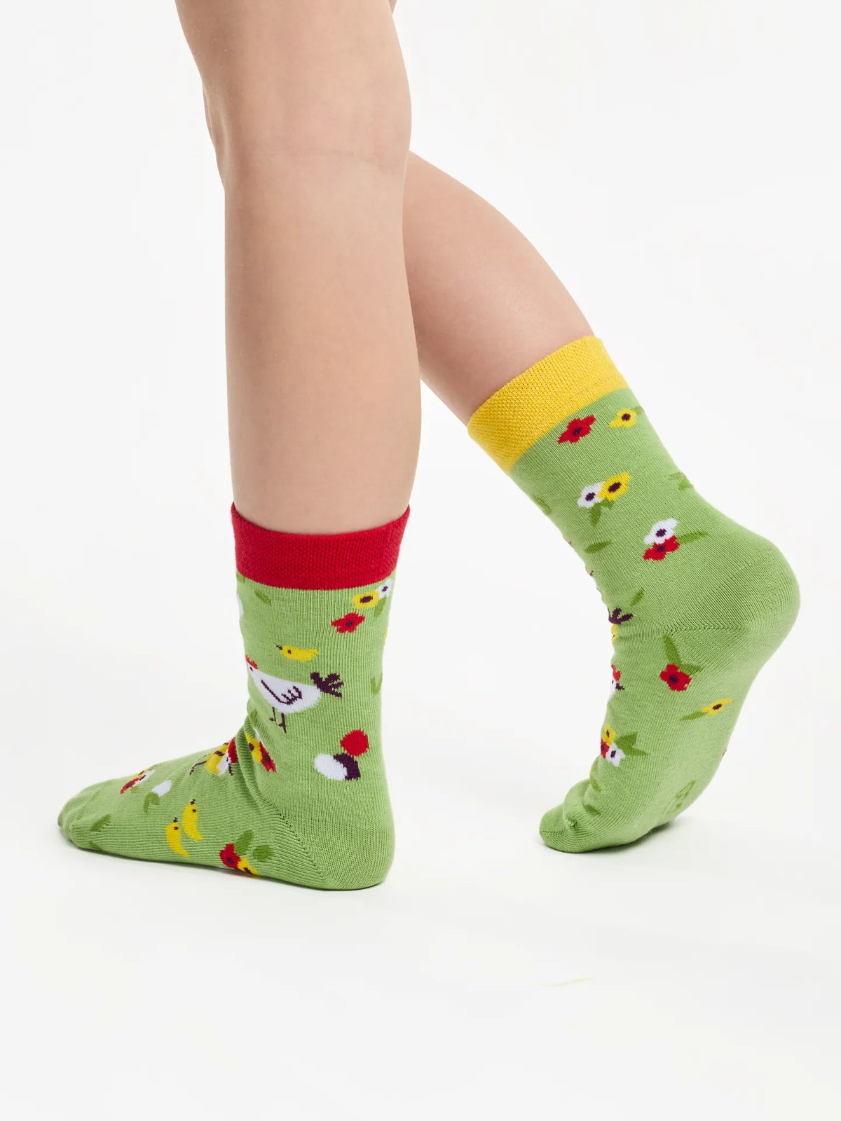 kids-socks-hens-chicks-53/532179a65d7eecd2166420c5f4c91c594fdf872a