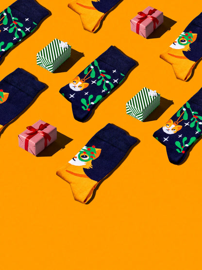 regular-socks-christmas-cat-58/589b7d0f4302a9ebfa9136626da25ea2b78a26b1