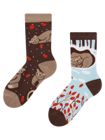 kids-warm-socks-bear-in-winter-5a/5ad7f27fd62ec32104de847d73ffb90d806567cd