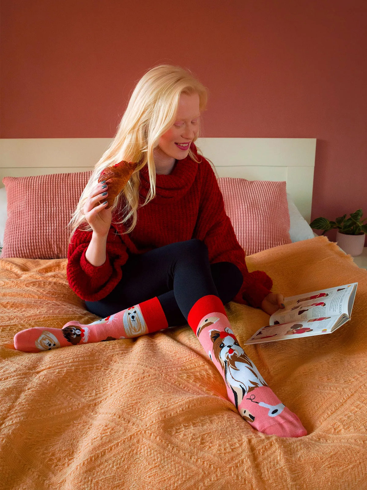 regular-socks-yorkshire-terrier-5c/5c5fe76248235d34996f687901e7a089416b5a2a