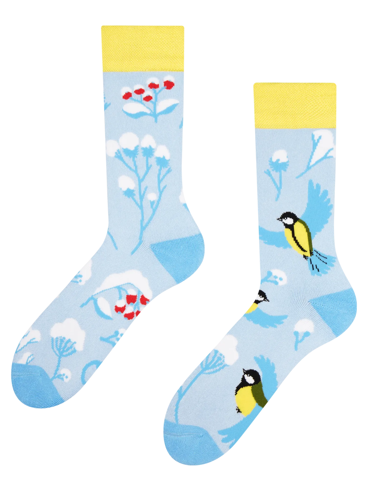 warm-socks-winter-bird-1-a2/a24a1d4f7c4a195ac6e0a955cb833c2ec957f0e2