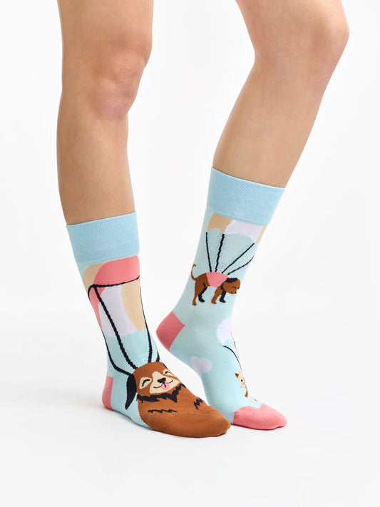 regular-socks-flying-cats-dogs-66/669c3aa48ce8a53a30e7e53099b7a24cb5b49bde