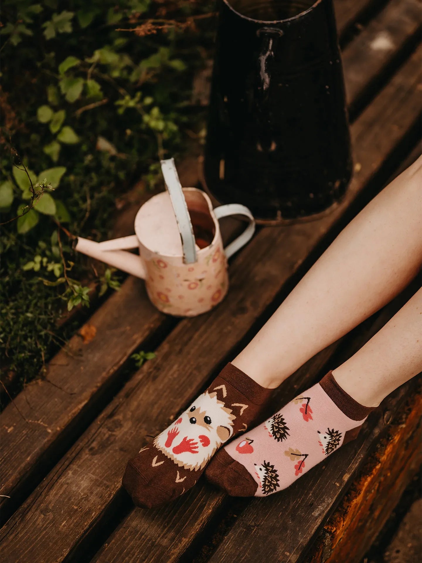 ankle-socks-hedgehog-68/688dd4def52b617116fed42608c1c12825676e8f