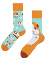 regular-socks-guinea-pig-69/698a85de33193804ab4fdba38452adcb24f639fe