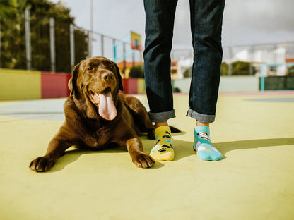 ankle-socks-happy-dog-02-a7/a75a9818cc8cc26f7f3b0568ba1bf13aca8c88bd