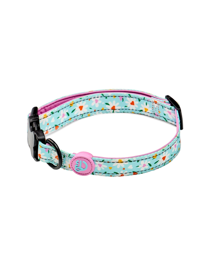 dog-collar-hearts-daisies-ba/babe07b3b9cdf1902b198fa3b1c725a100a0a2c4