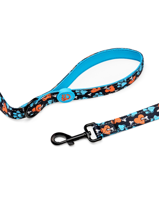 dog-leash-hearts-paws-d3/d3efb5c4ca4a7e07b32ee6508c0a0c9a8e2759c3