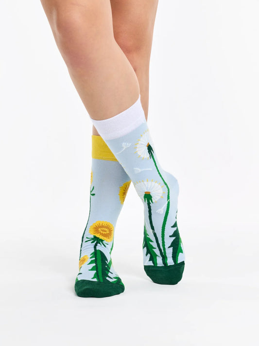 regular-socks-dandelion-spring-87/87b0ccf343180bade6617435a38a55c132a1599b