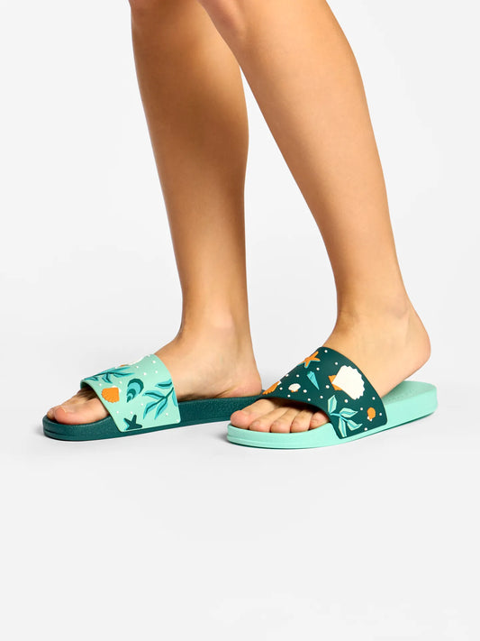 slides-seashells-88/88274822c2f6effc5ee2412a493a4f1cf9ea6e19