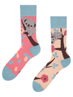regular-socks-sleepy-koala-02-b6/b60d3d79cbc539de8af77bce8088f7c4b49991a6