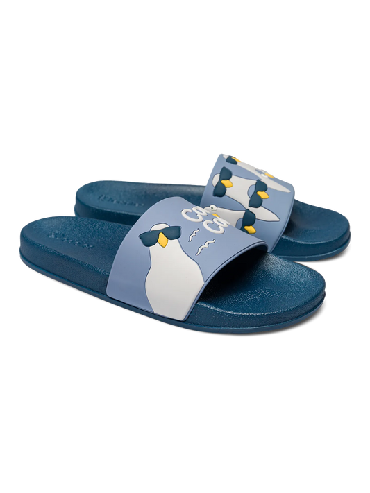 slides-cool-pigeons-6e/6eb362f2efd32390141edcaa6905ac6c280a057b