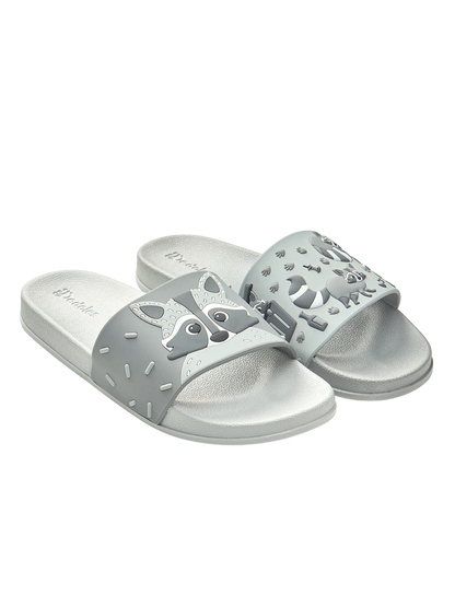 slides-racoon-98/981305cf3e66c06ac521745cc5b81bd0520f1301