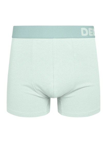 mint-green-mens-trunks-9c/9c08afa2f6ed655ced0ab4faa1b76312de8efbec