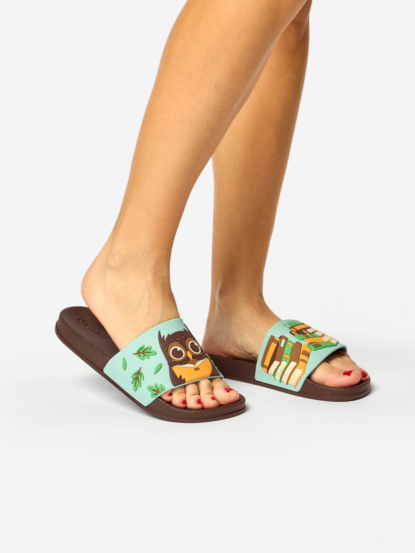 slides-owl-books-99/99d699519f01845054c2fd5b227166c35adb44ce