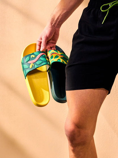 slides-hunting-chameleon-9d/9d359bd73cea4f6a8b3e06fc02768bbc6f7a6c05