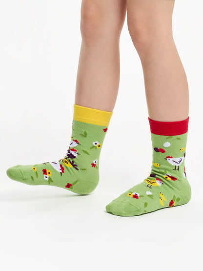 kids-socks-hens-chicks-a6/a6c685261ffe6fddb0be561cbe43569dab5cb2ab