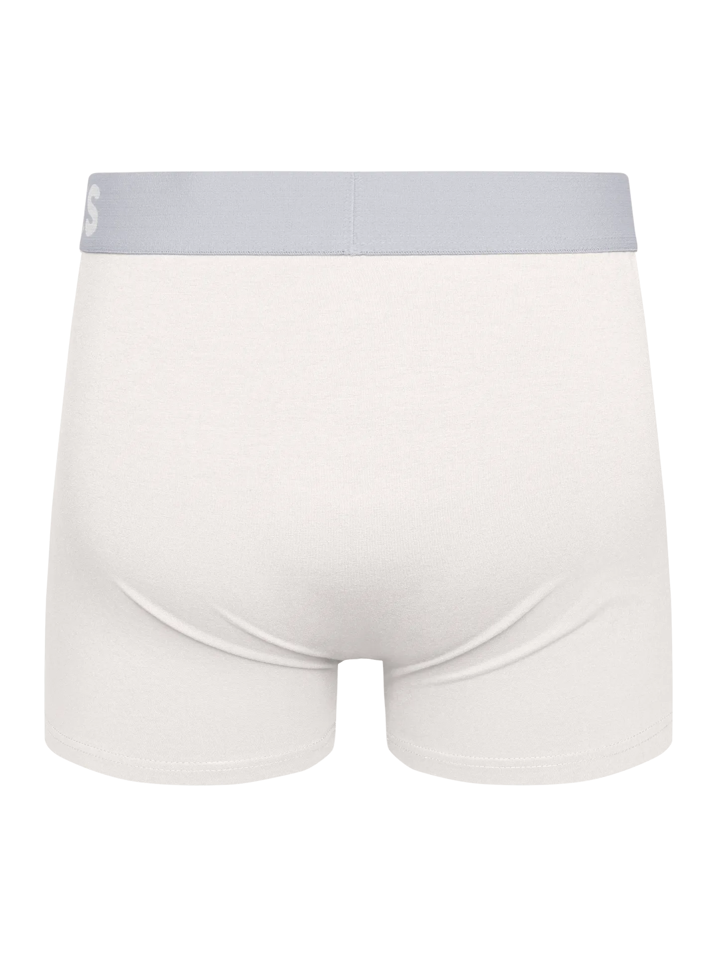 true-white-mens-trunks-okt-96/96aa86111560456657db90fd8ad059845ef35be7