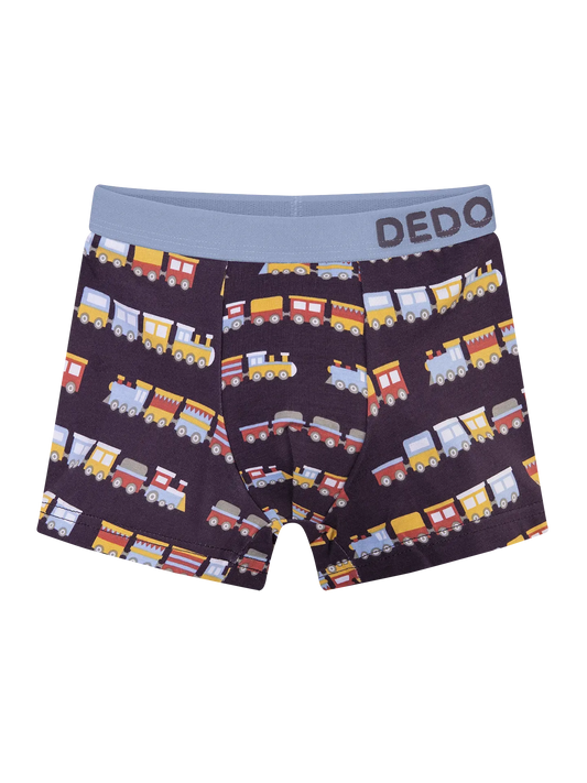 boys-boxers-trains-b3/b3292c779e81f43ed267cf76f836a359ff062bd8