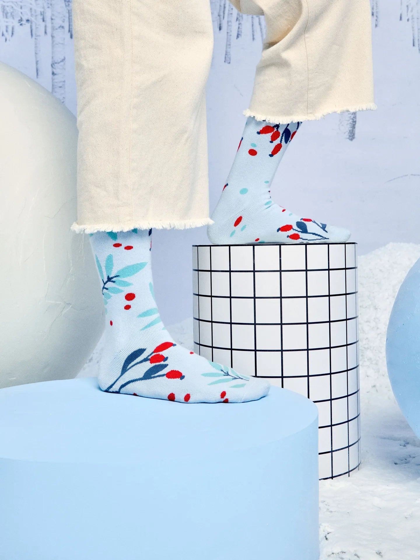 warm-socks-rosehips-in-snow-1-b1/b1c8eedab6ba04a1e56e5364dfa8087c76e915f9