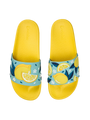 slides-summer-lemons-b7/b7add31a87c17b17505557fefee470d6e68676af