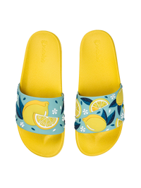 slides-summer-lemons-b7/b7add31a87c17b17505557fefee470d6e68676af