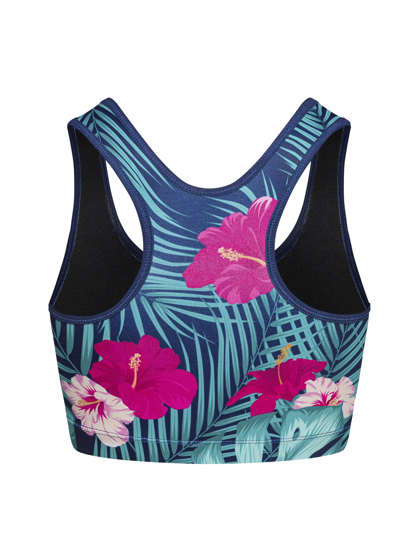 gym-top-tropical-paradise-6b/6b29e0a6d57f891f70d35afb4a61223db300b99e