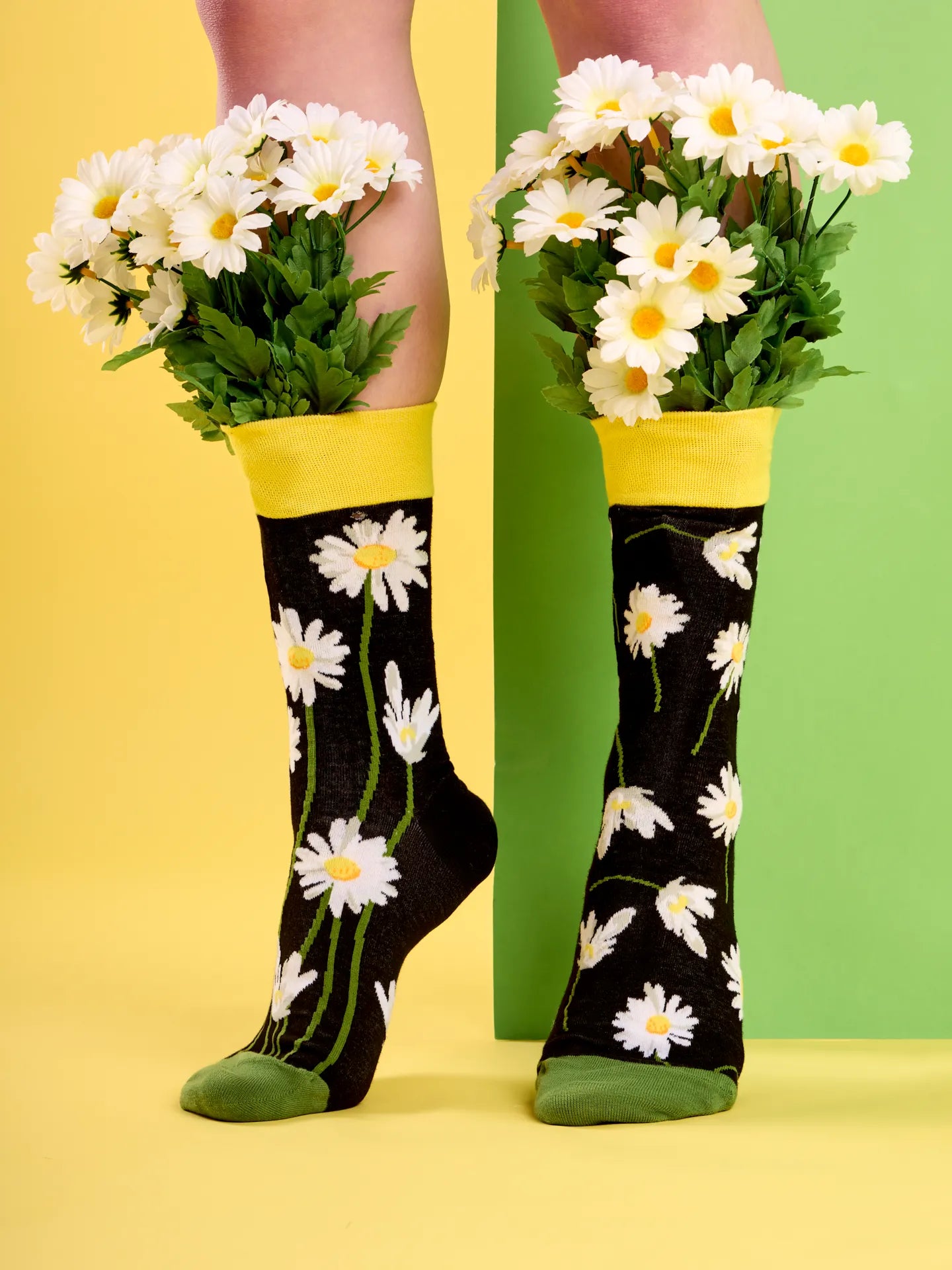 regular-socks-daisies-at-night-02-23/231a711135c87d7ce9c04d4806e5ec0b2a0d5588