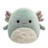 Squishmallows aksolotl Chasmen s čupavim trbuščićem, 30 cm