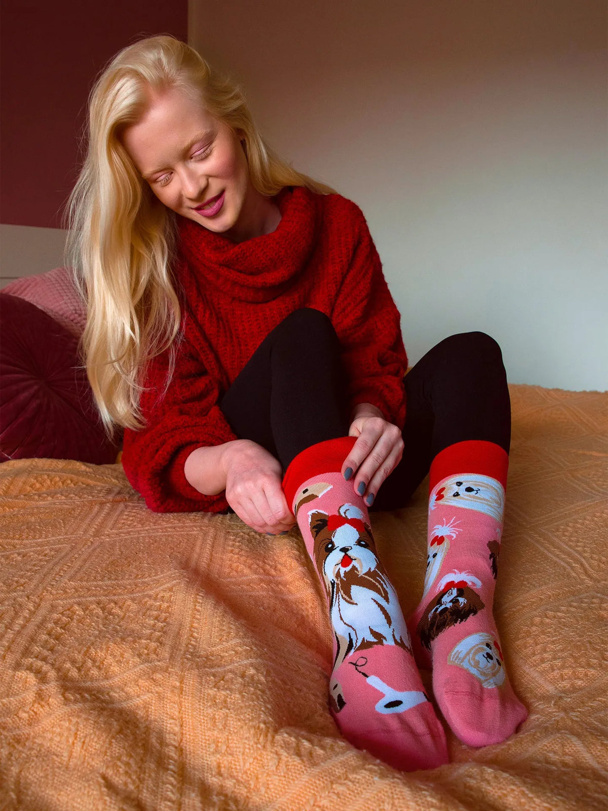 regular-socks-yorkshire-terrier-d1/d142a3017e7d3bb9b67a824fdfc9511117cef46b