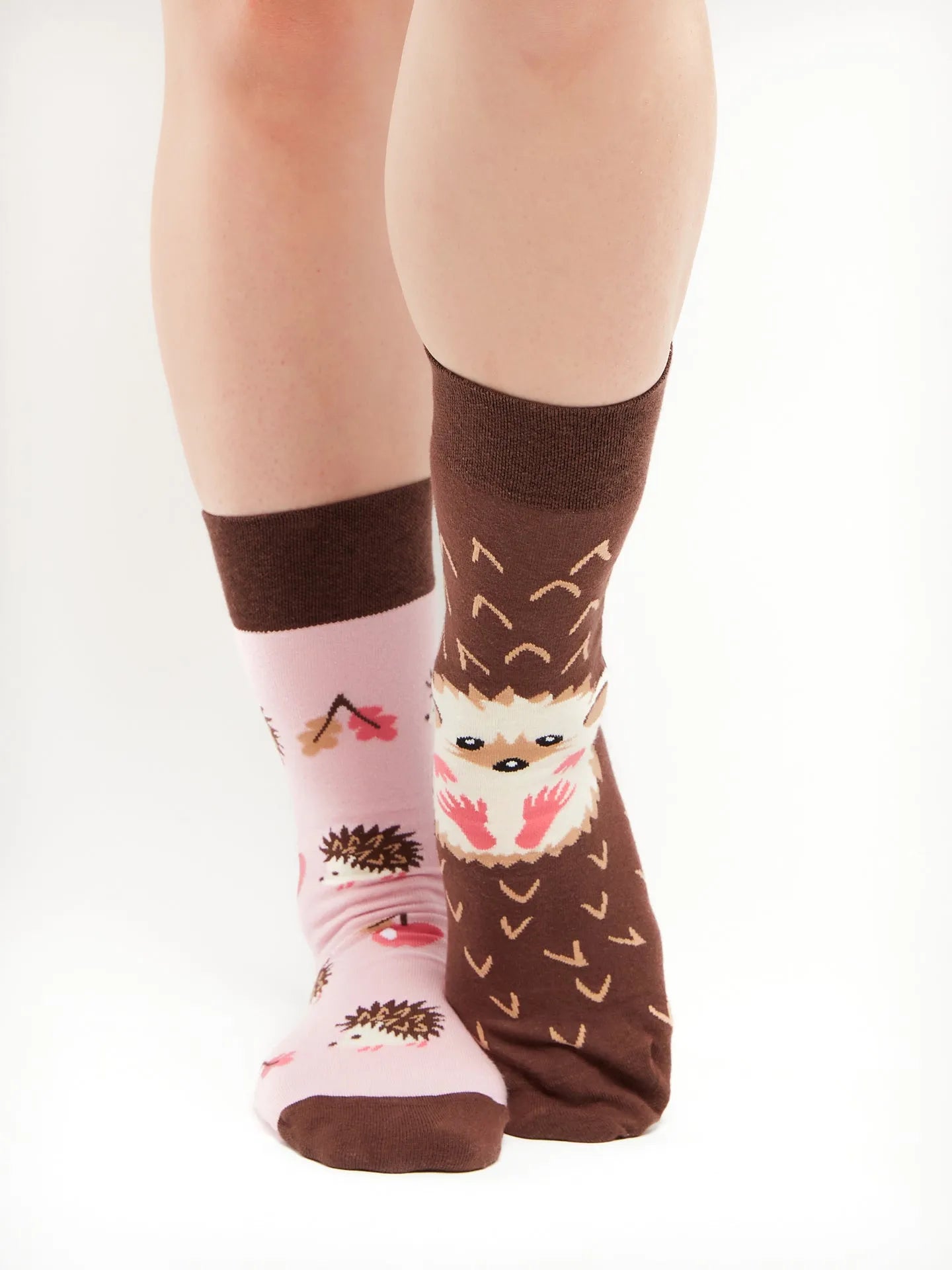 regular-socks-hedgehog-02-a3/a338013e2610d3b89404263efb41e67acd6d0563