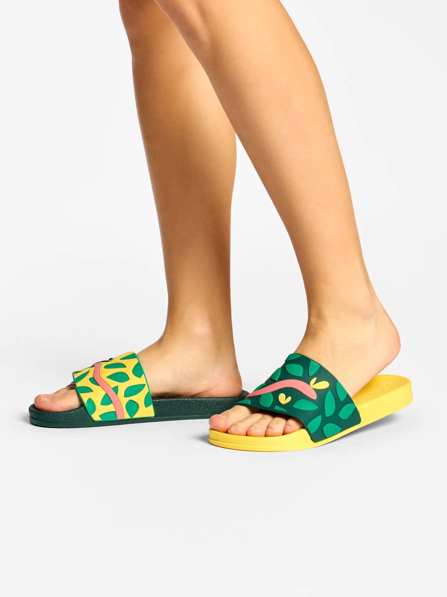 slides-hunting-chameleon-bf/bfa4db27d3dc15be38c5908f54bb7f542e451d4b