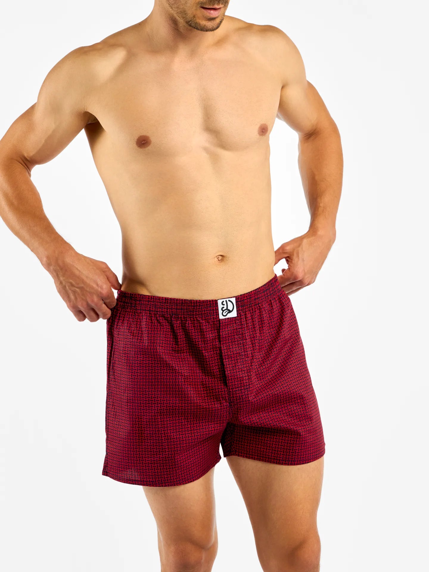 blue-red-mens-pattern-boxer-shorts-e2/e2f065d06f3df97b4f14f377783d0145934c5008