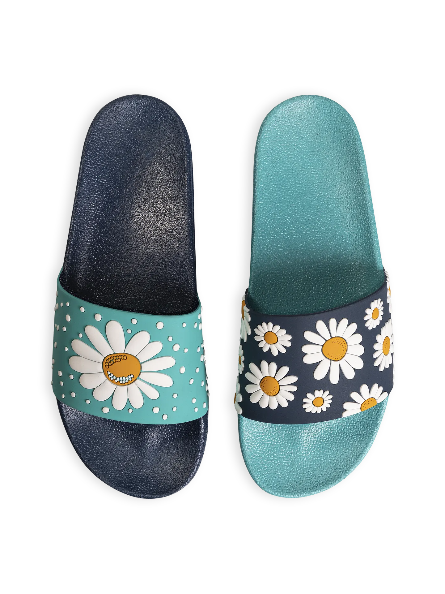 slides-daisy-blossom-1-aa/aa72b0ce1d09ba97872edac0fe735ab3b086e0ae