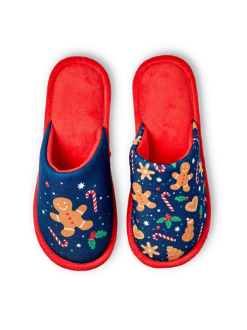 Vesele papuče Paprenjak i slatkiši