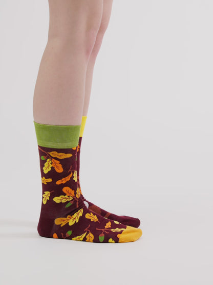 Vesele čarape Znatiželjna sova